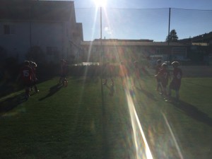 IMG_0502